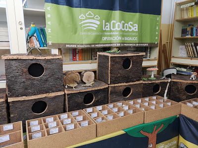 cocosa