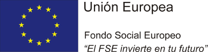 FSE 4
